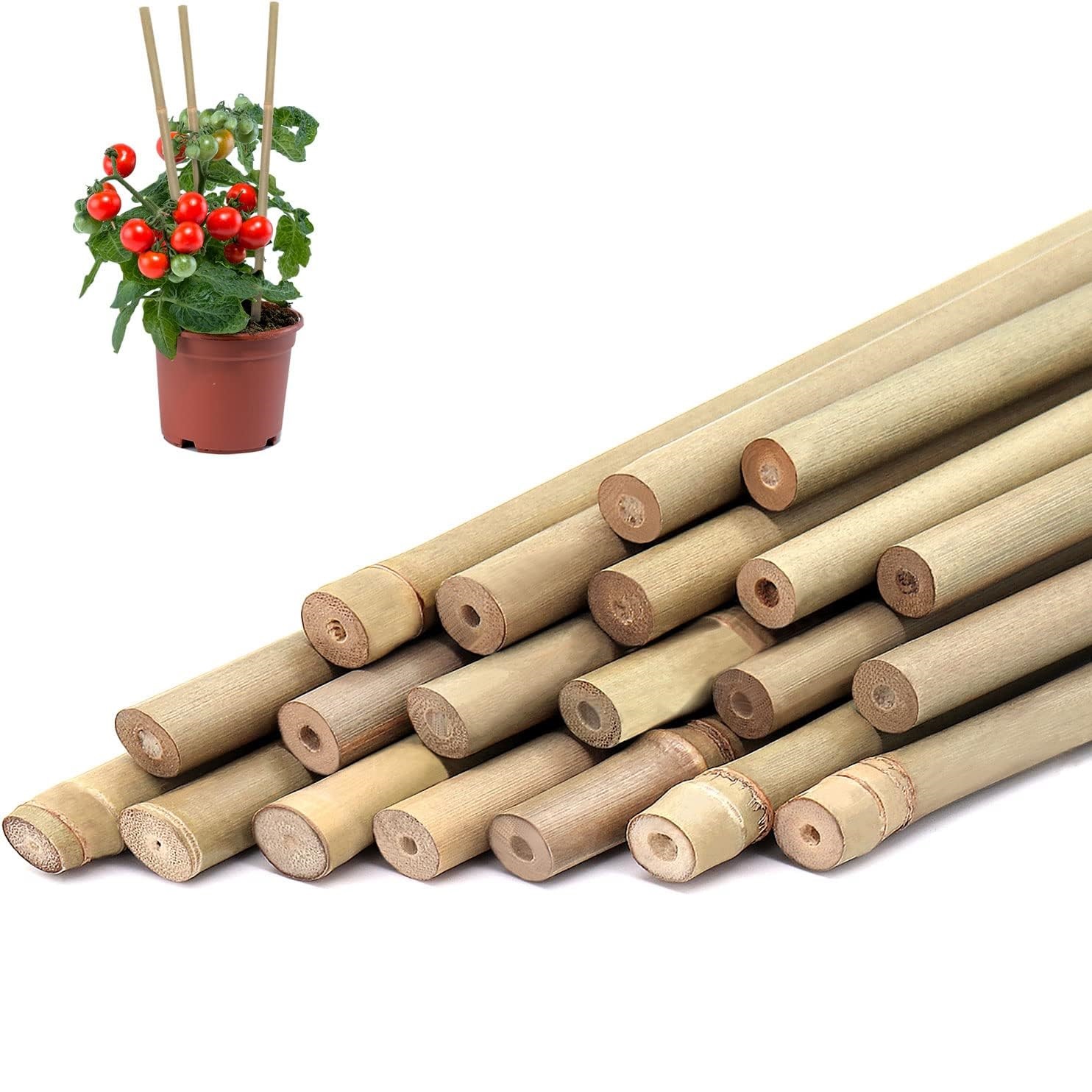 Plant Support Stake - 10 buah, pancang tanaman bambu untuk
