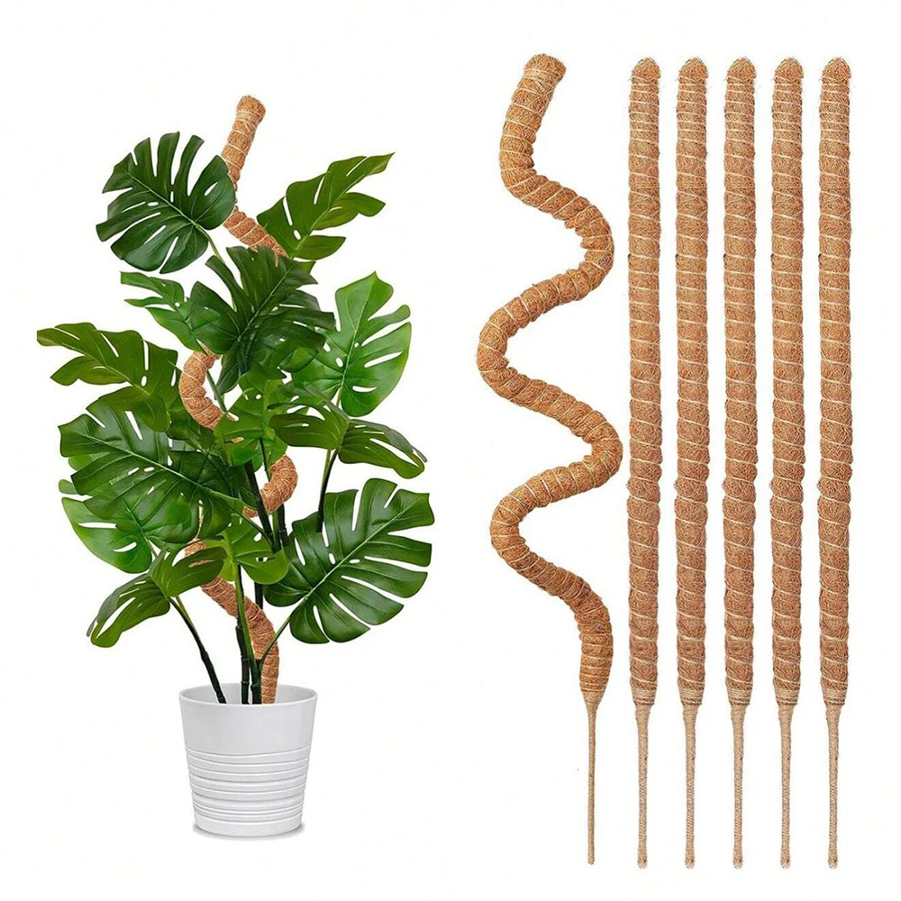 Plant Support Stake - Tiang Penyangga Lumut untuk Tanaman Monstera,