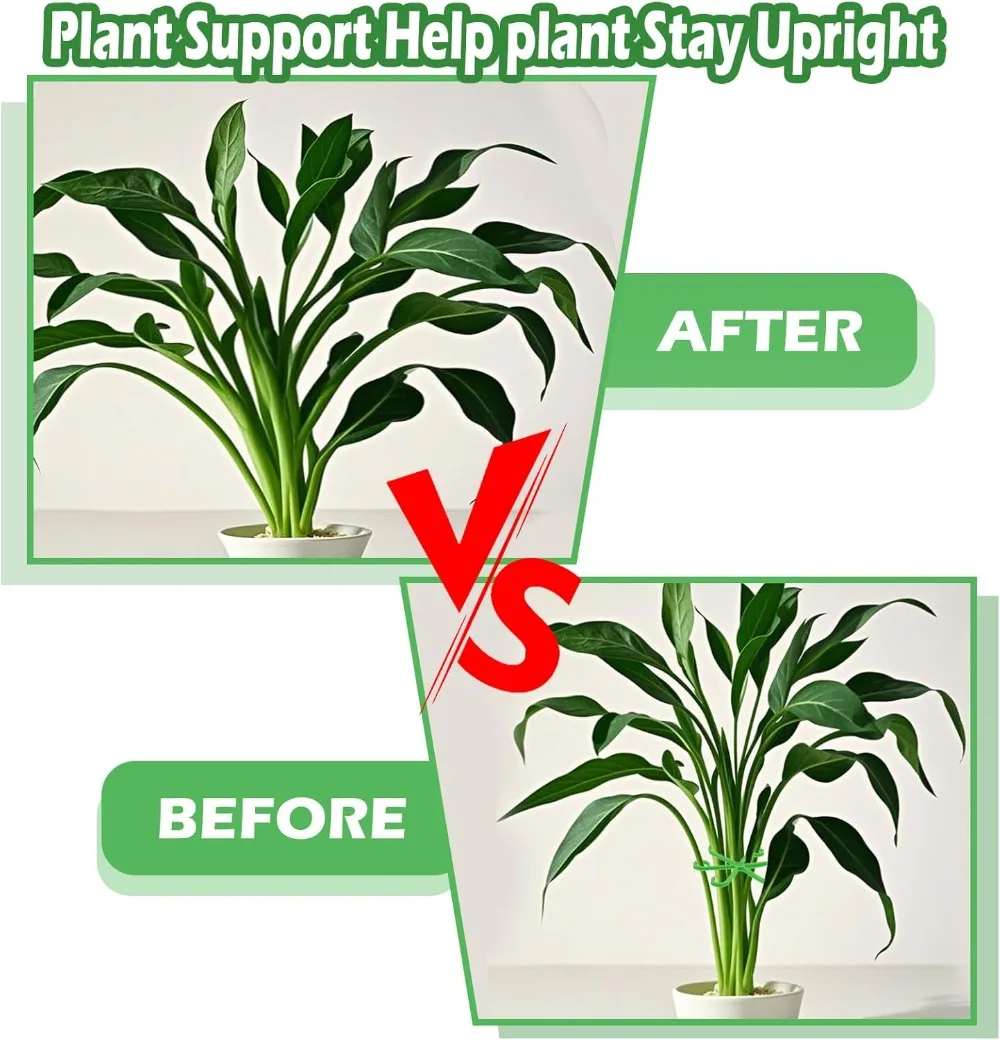 Tiang Penyangga Batang Tanaman - Plant Support Stake ulasan dan harga
