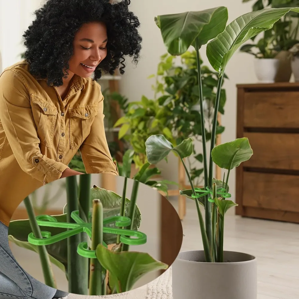 Tiang Penyangga Batang Tanaman - Plant Support Stake ulasan dan harga