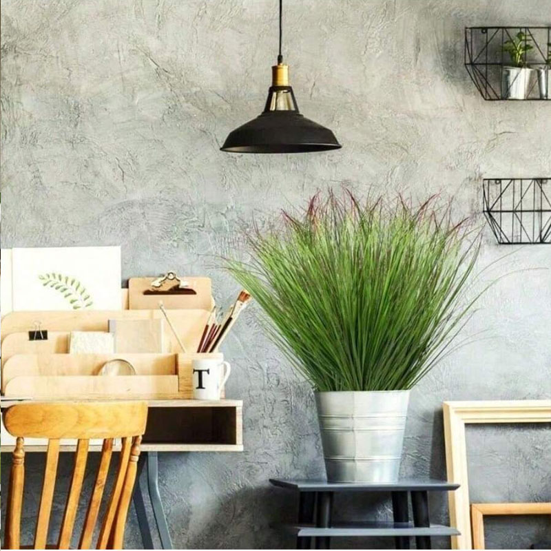 12 Buah Tanaman Hijau Palsu Ru - Snake Plant ulasan dan harga