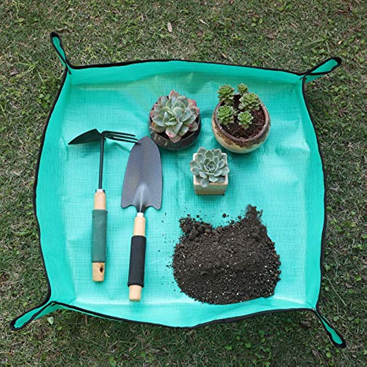 Alas Repotting Tanaman PE Taha - Repotting Mat ulasan dan harga