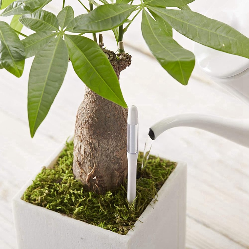 Aquameter, 5 Buah, Sensor Kele - Indoor Plants ulasan dan harga
