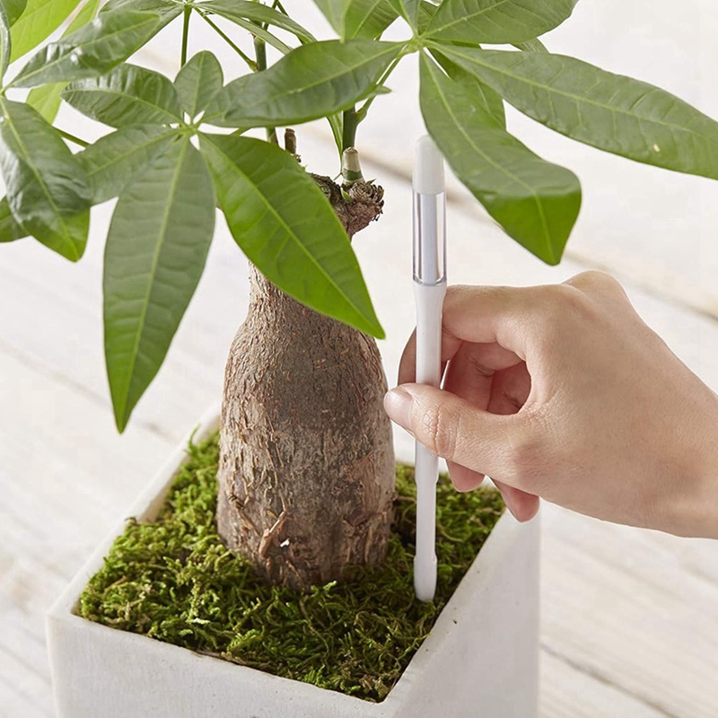 Aquameter, 5 Buah, Sensor Kele - Indoor Plants ulasan dan harga