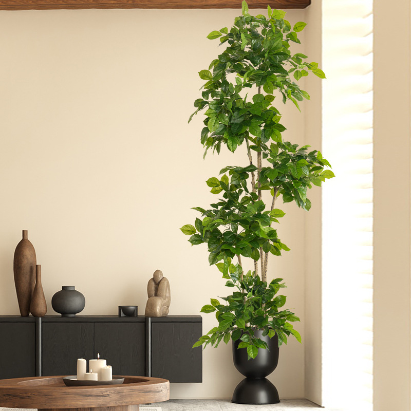 2-78in Tanaman Palsu Besar Bua - Fiddle Leaf Fig ulasan dan harga