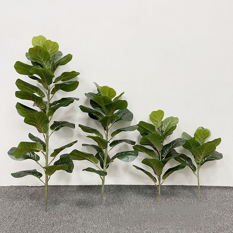 Tanaman pohon Ficus besar 59in - Fiddle Leaf Fig ulasan dan harga