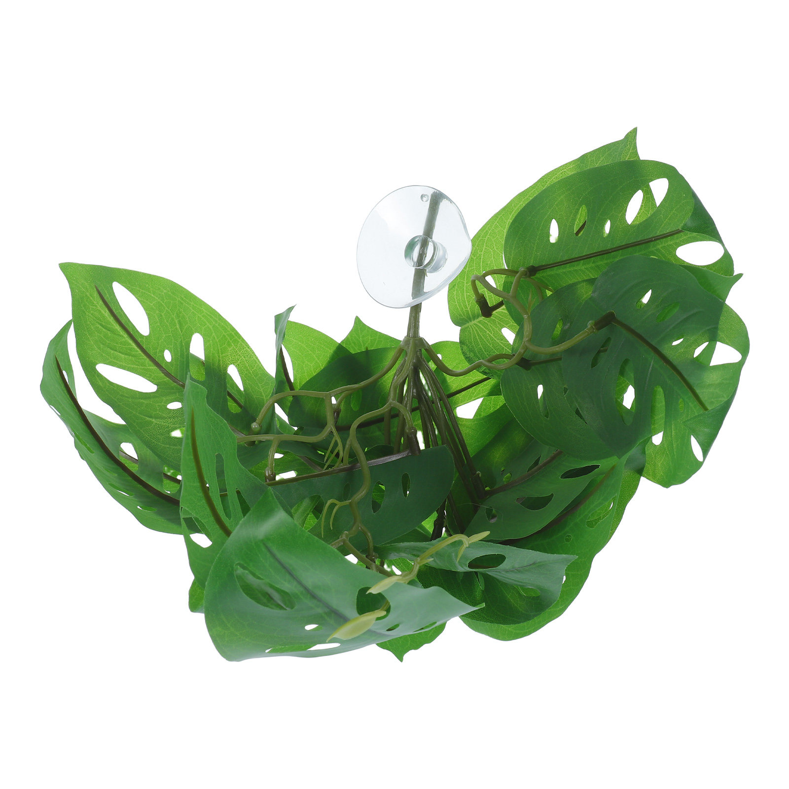 Dekorasi Habitat Reptil, Tanam - Snake Plant ulasan dan harga