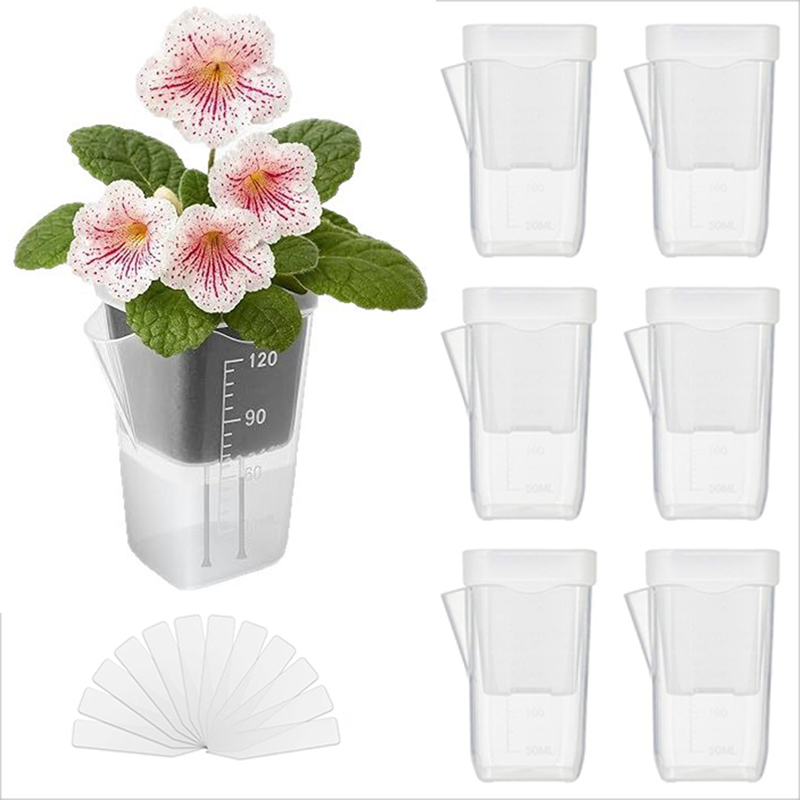16/32 Paket Pot Tanaman Penyir - Pothos ulasan dan harga