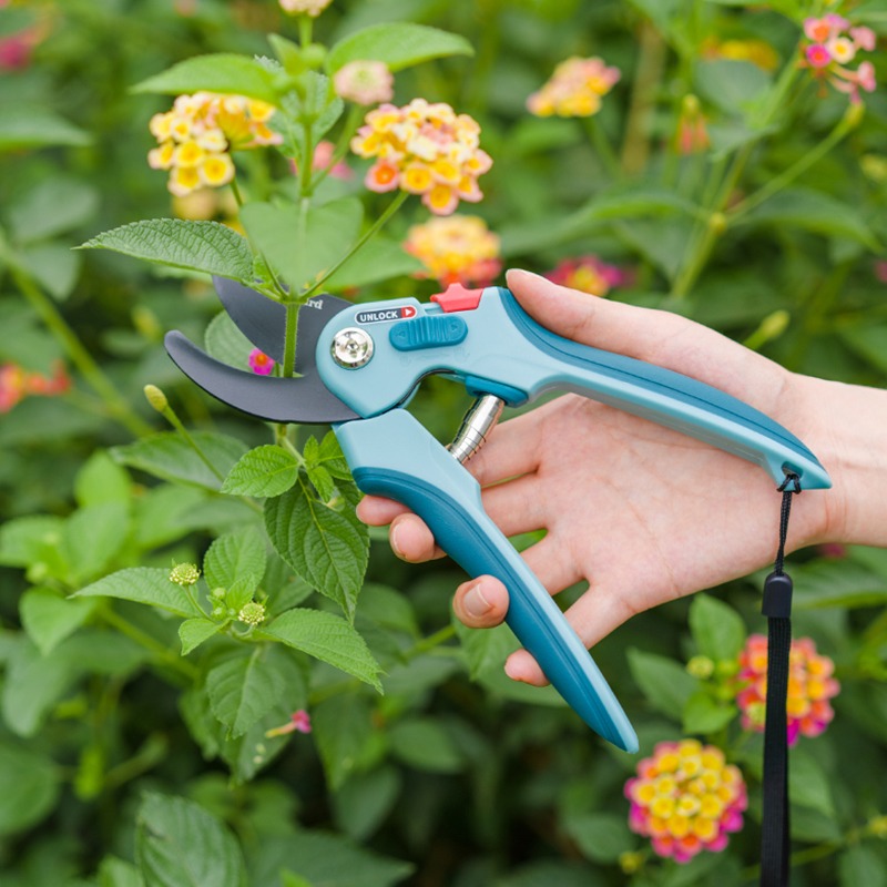 Gunting Pemangkas Hutan Baja K - Plant Pot ulasan dan harga