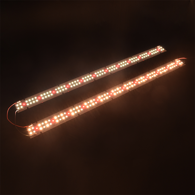Lampu Tumbuh LED COB Berkualit - Indoor Plants ulasan dan harga