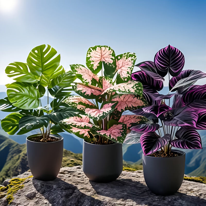 3 Buah Set Tanaman Buatan Camp - Fiddle Leaf Fig ulasan dan harga